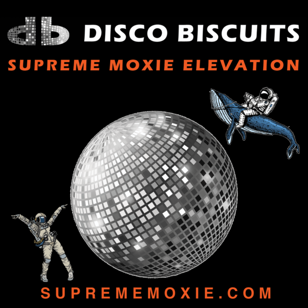 Disco Biscuits 6 Pack